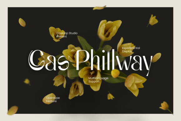 Cas Philway: The Strategic Choice for Elegant Typography